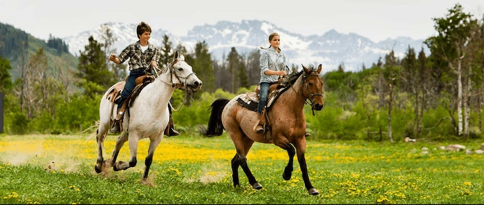 Confident plus-size woman riding Sunningdale a horse through a field with a smile on her face.